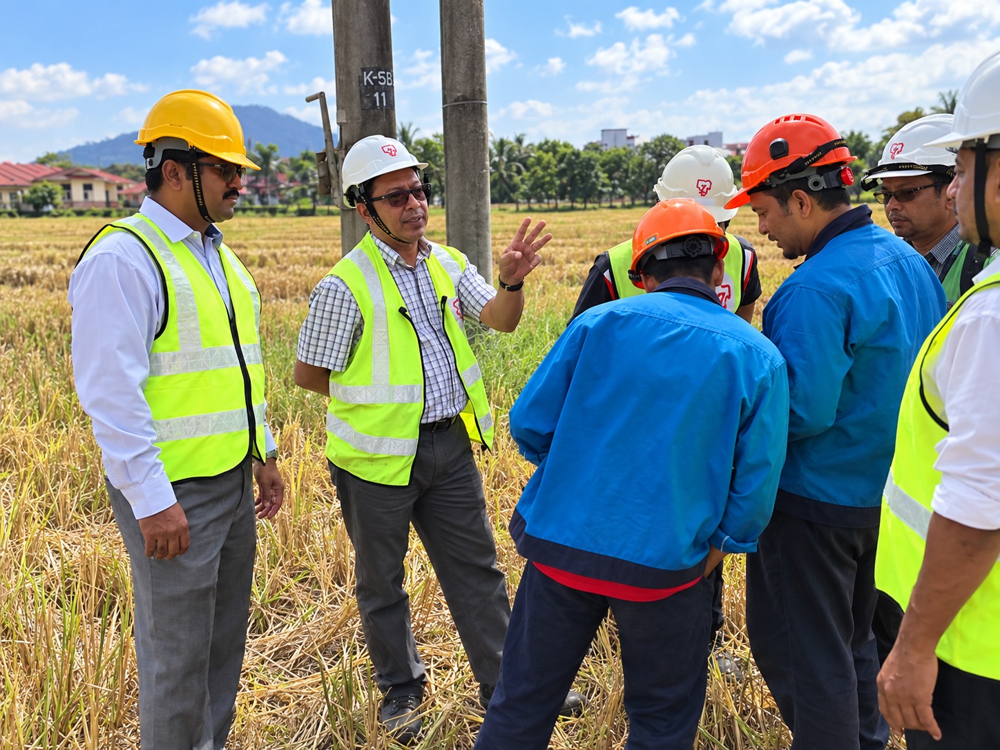 Field engagement & stakeholder workshops